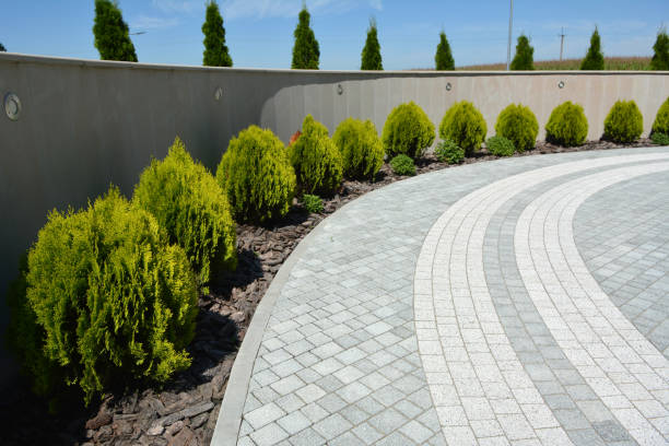 Professional Driveway Pavers in Wadena, MN